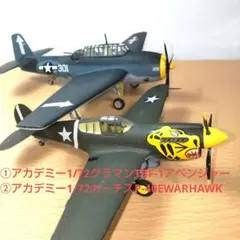 【完成プラモデル】TBF-1 アベンジャー&P-40E WARHAWK 2機のサムネイル