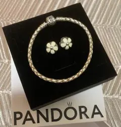Pandora レザーブレスレットとチャームセット