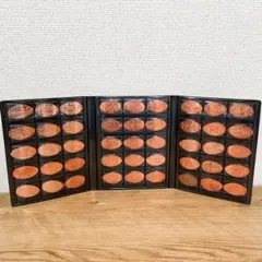 ディズニー スーベニアメダル スーベニアメダルケース