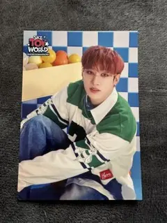 skz toy world 日本ペンミ　ラントレ【バンチャン】straykids