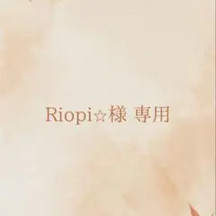 専用ページ