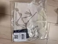 ARC'TETYX ホワイト ニット帽