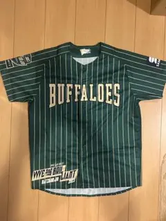 Item thumbnail for item 127b7155-81de-41c7-b333-9429fe083029