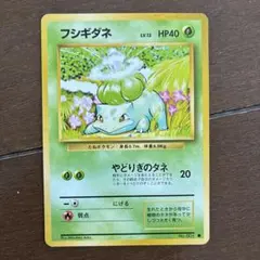 ポケモンカード フシギダネ 旧裏面