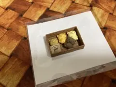 しゃちこ様 リクエスト 2点 まとめ商品