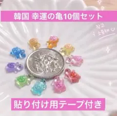【韓国で大人気】幸運のカメ 10個セット コブギ 韓国雑貨 お守り テープ付き