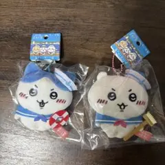 Item thumbnail for item e0e0e94b-f480-4aea-b16a-dec5c12af754