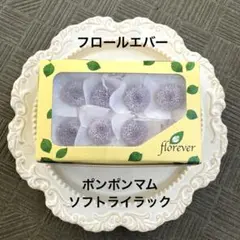 済　Tomochi様　ご専用