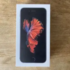 iPhone6S空箱