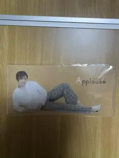 【新品未使用】月組 鳳月杏 ミニファイル チケットファイル