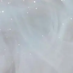 専用出品