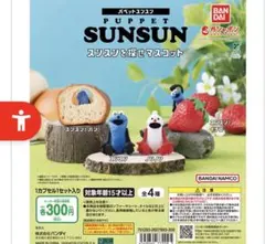 スンスンを探せ　4種セット