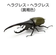 Item thumbnail for item 4944dd5f-f0aa-41c5-9318-80a0fb0dcf22