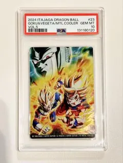 Item thumbnail for item d07d4a94-a62c-4291-88ee-8220540578bf