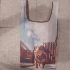 ROOTOTE ルートート 折りたたみエコバッグ 犬柄ダックス