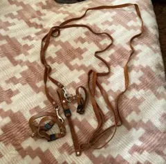 Item thumbnail for item f3fce747-a45f-43bb-a585-066c31d586a1