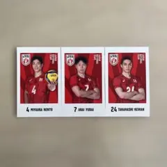 バレーボール選手カード