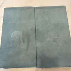 LAVA ラグセット グリーン　2枚