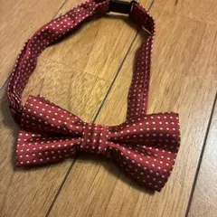 Item thumbnail for item 710f679e-2bdc-471b-9131-34e256230958