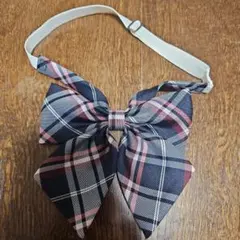 Item thumbnail for item ce1c74fa-778a-45b6-9478-dbc1a731b0f4