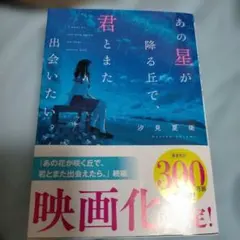 あの星が降る丘で、君とまた出会いたい。