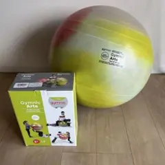 Gymnic Arte バランスボール 55cm ギムニク アルテ