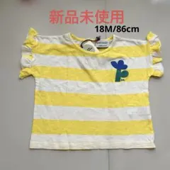 Item thumbnail for item dd75bc05-bd0d-49f4-be99-dd8092442866