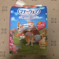 Item thumbnail for item db6b45ec-6293-4e3f-9644-fb01678611c7