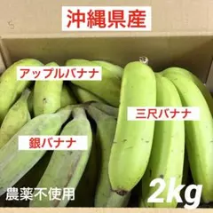 沖縄県産☆バナナ３種類/三尺バナナ☆アップルバナナ☆銀バナナ❺のサムネイル
