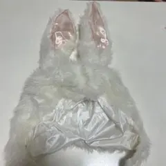 バニー耳付き帽子 ホワイト