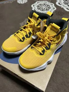 アシックス　ノヴァサージGS バスケットシューズ 26.0cm ジュニア用