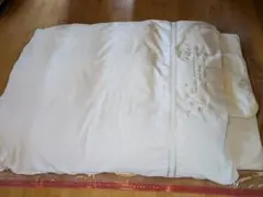 Item thumbnail for item 0ca41a38-17f3-4367-aa57-3f3d71521e08