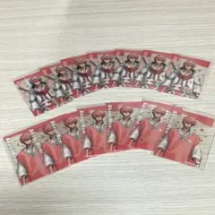 赤城ウェン クリアカード 14点セット