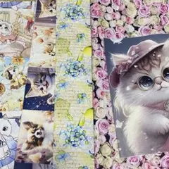 1セットのみ　5枚セット　コットン生地 綿100%