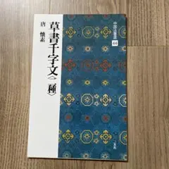 中国法書選48：米芾集 ［宋］ 二玄社 書道 - メルカリ