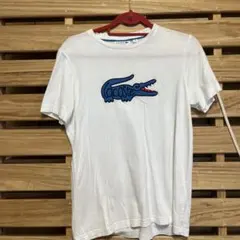 LACOSTE ラコステ Tシャツ ホワイト FR3 US Sのサムネイル