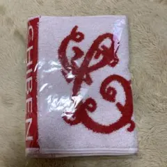 智辯和歌山 智辯学園　応援タオル