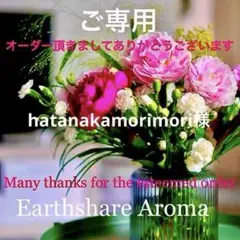 hatanakamorimori様 リクエスト 2点 まとめ商品