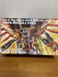 HG デスティニーガンダム ハイネ・ヴェステンフルス仕様