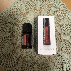 ⭐️ 정품 도테라 온가드 5ml, 온가드 비즈 세트