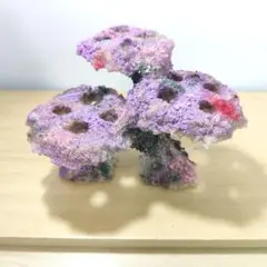 2026年最新】ライブロックレプリカの人気アイテム - メルカリ