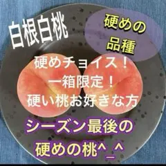 白根白桃　家庭用　硬めチョイス　箱入り3キロ　訳あり赤ちゃん桃のおまけ付き