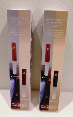 Intelligent Induction Light 2個セット