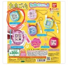 ksm様 リクエスト 2点 まとめ商品