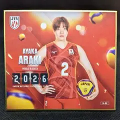 山田二千華 バレーボール女子日本代表 2026 トレーディング ミニ色紙