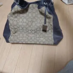 Item thumbnail for item d5c3f15e-16b6-4c65-ab49-f397cb6f8c8a