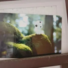 Item thumbnail for item 8cd2add6-9f0d-405e-bfb0-83d2f5a092d4