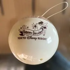 東京ディズニーリゾート ティンカーベル入れ物のみ