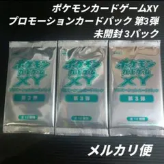 未開封 ポケモンカードゲーム XY プロモーションカードパック第4弾 8