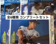 【伊藤園】非売品 大谷翔平 ファイル全6種類セット